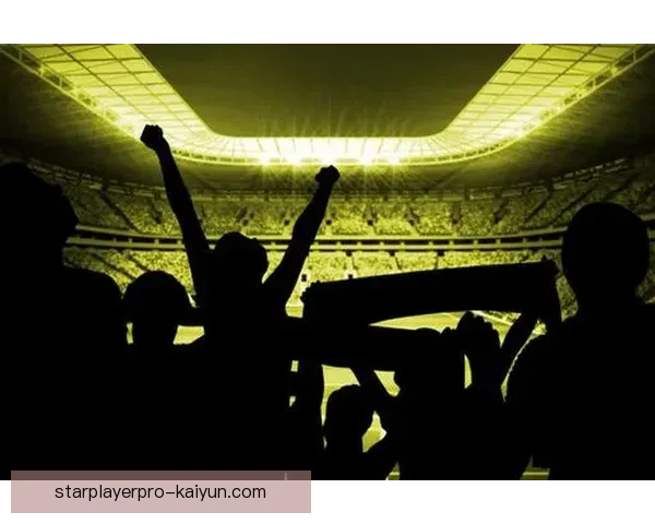 明星球员剪影：足球场上的表现稳健，持续吸引众多关注